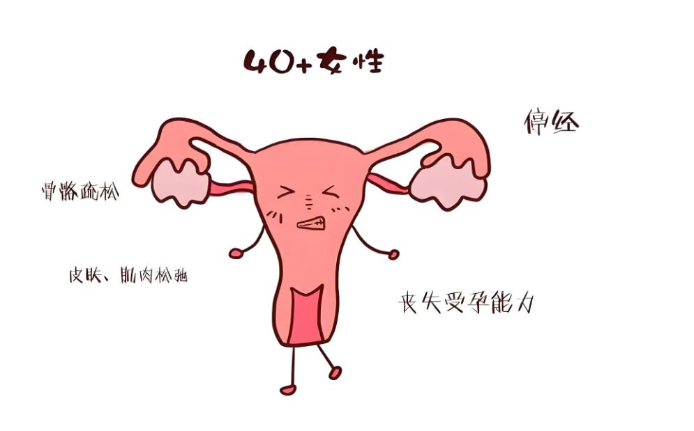 卵巢早衰還可以做試管嬰兒?jiǎn)?卵巢早衰做試管成功率多少